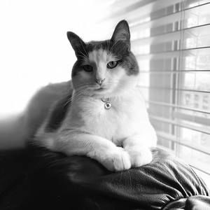 Meet your Posher, Tammy